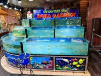 IMG_1549.jpeg